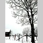 La Maison Sous Les Arbres Tatil Evi Gouvy