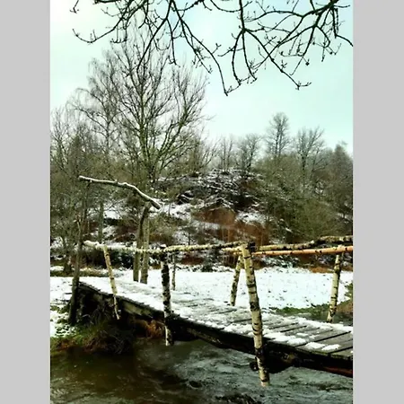 La Maison Sous Les Arbres *
