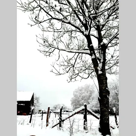 La Maison Sous Les Arbres Дом отдыха Гуви