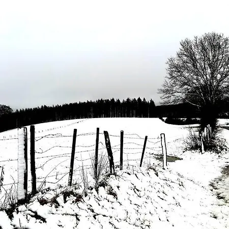 La Maison Sous Les Arbres
