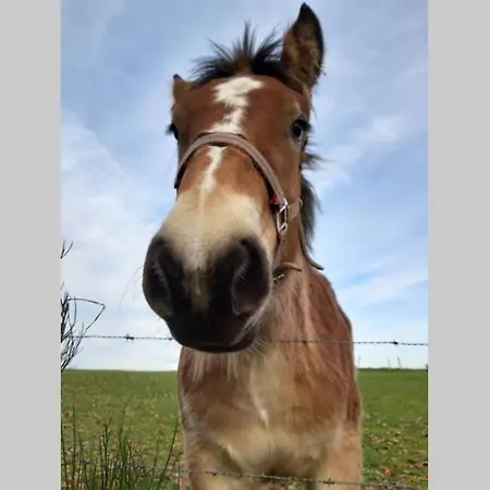 Дом отдыха La Maison Sous Les Arbres Гуви