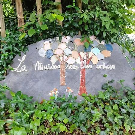 La Maison Sous Les Arbres Gouvy